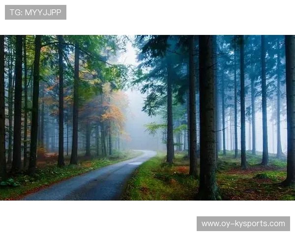 大型森林徒步穿越，探索未知的自然奇境，森林徒步的美言美句